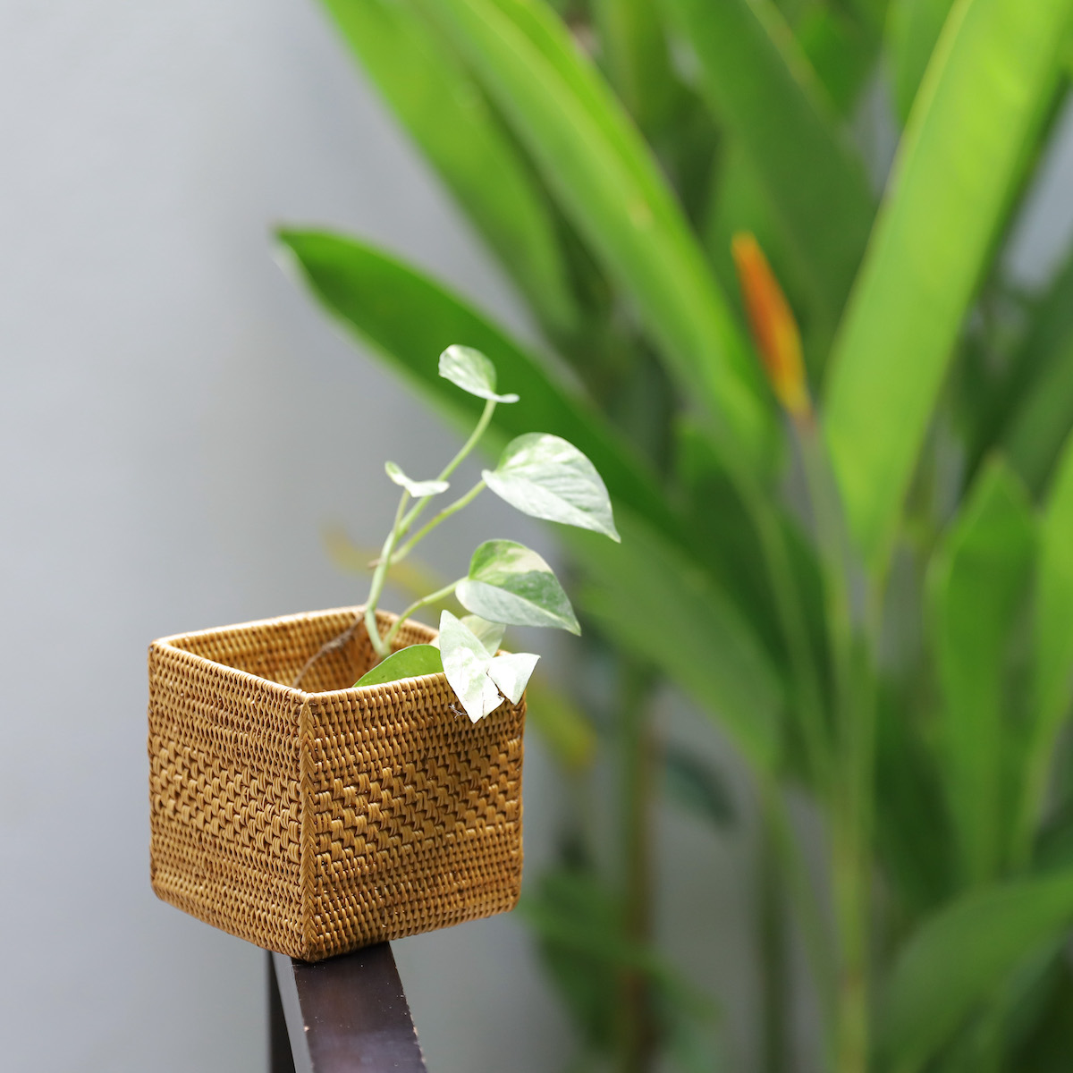 アタ ペン立て ボックス