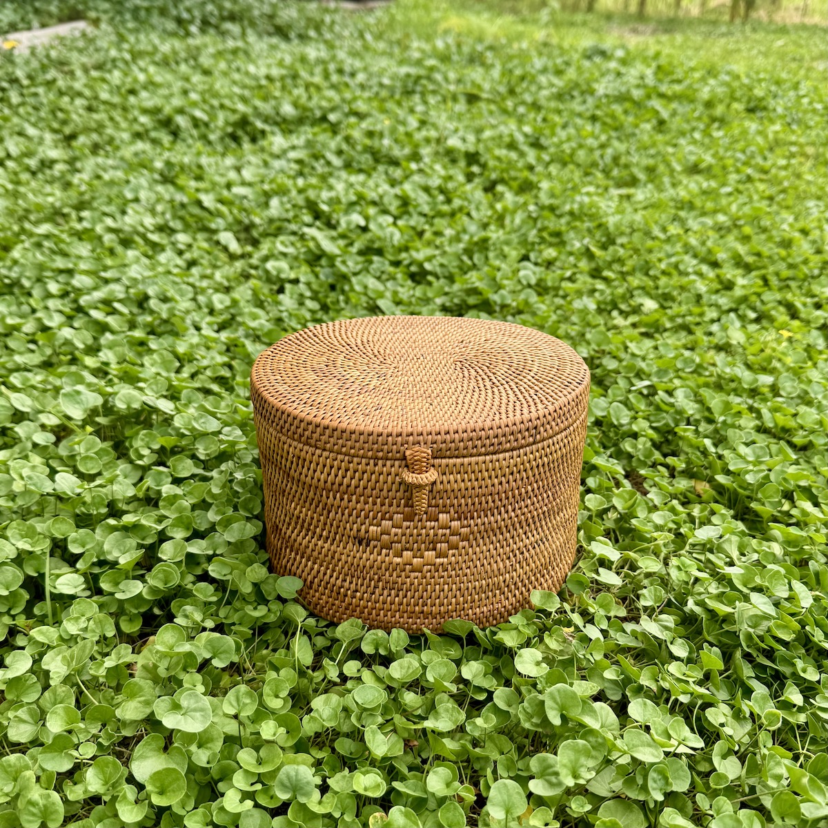 楕円蓋付き小物入 (BOX470) Rosily(ロージリー) バリ島 アタかご