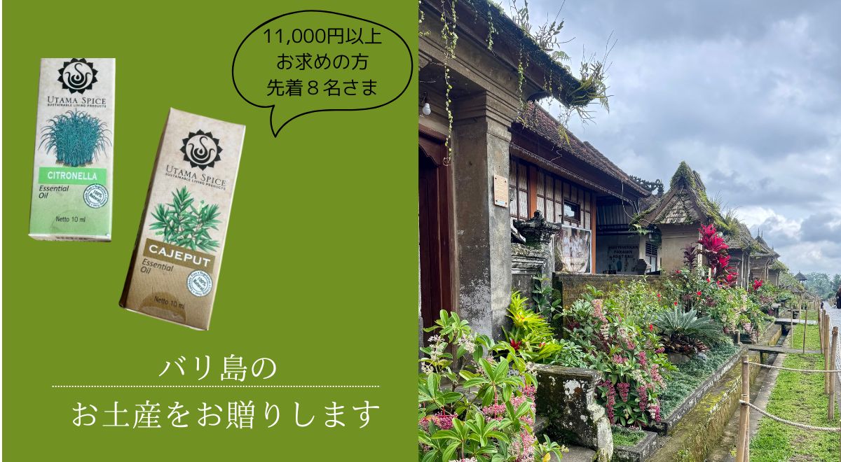 バリ島からのお土産